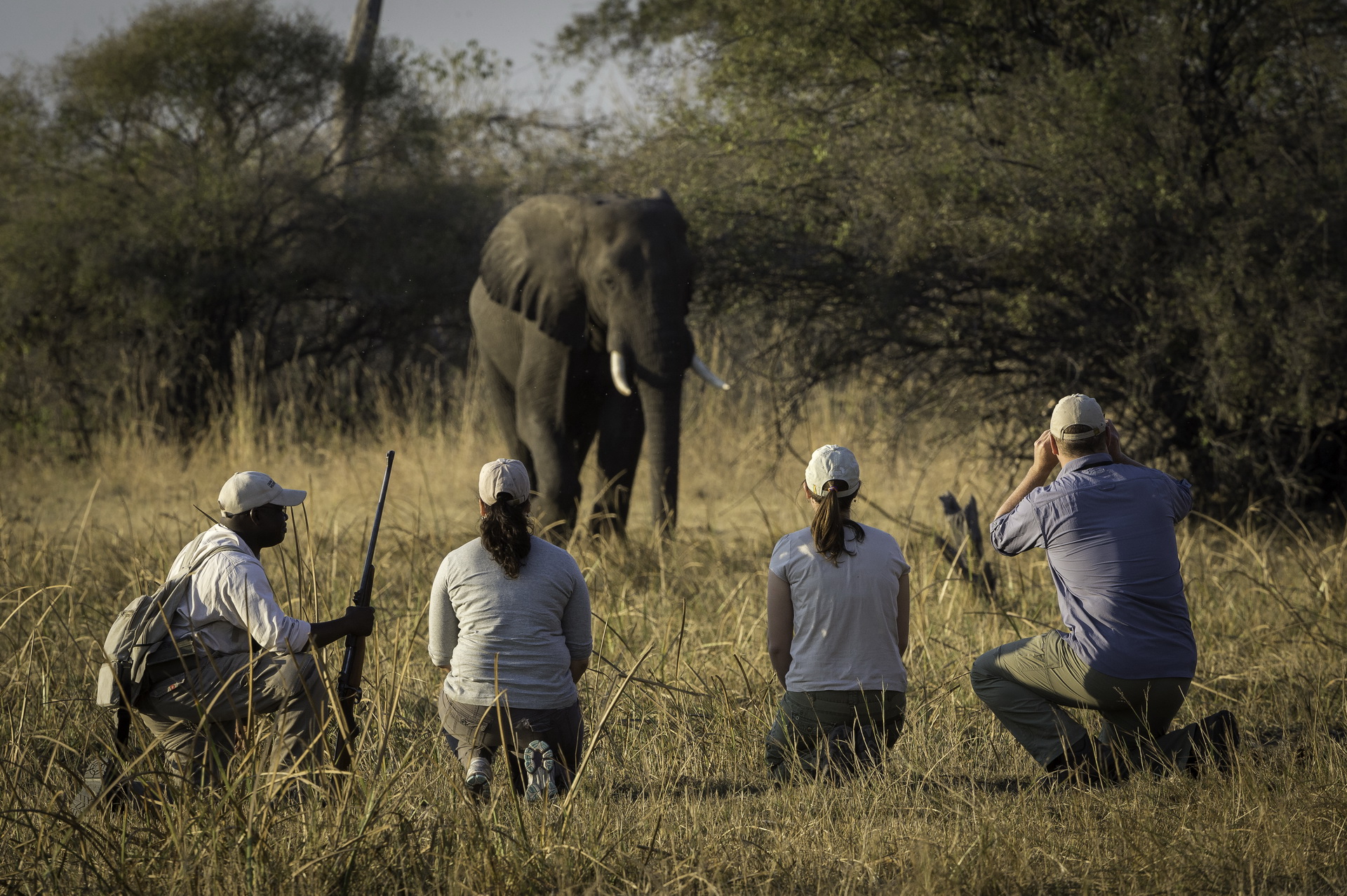 Linyanti Tented Camp Walking Safari Elephant1